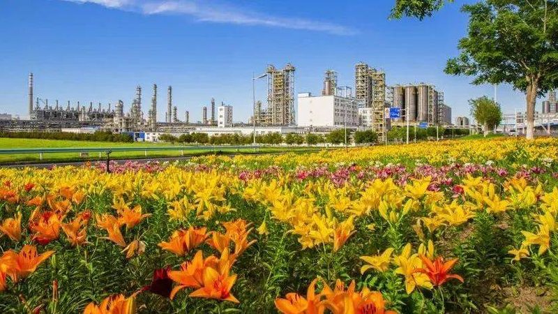 上海精细化工产品型号规格解析：关键参数与选型逻辑**