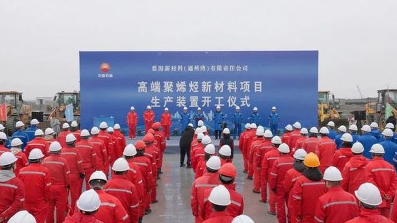 高分子材料批发：如何规避潜在风险**